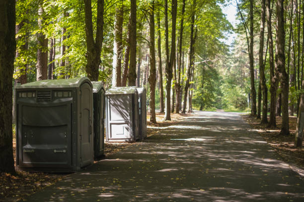 Best Long-term porta potty rental  in St David, AZ